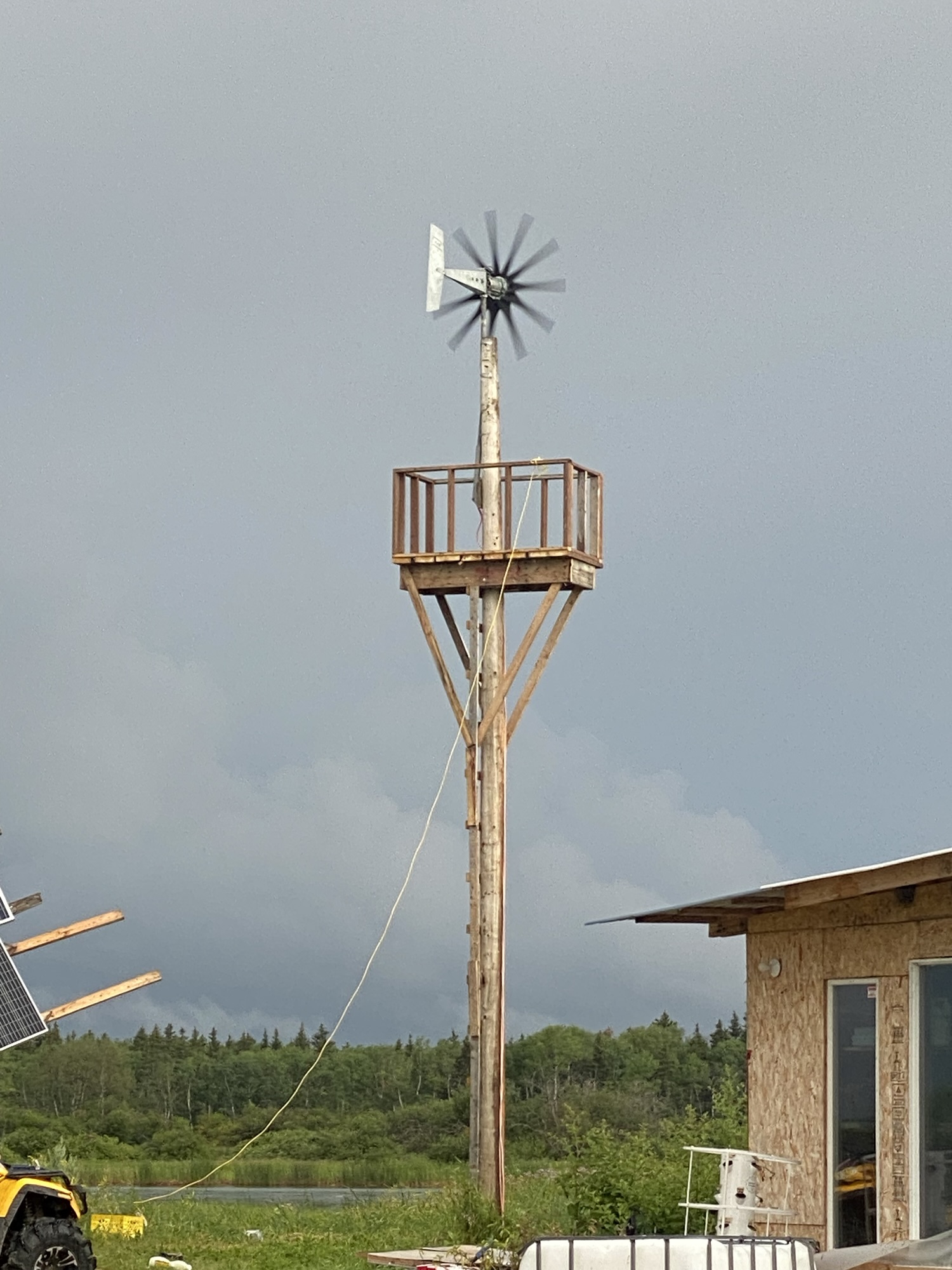 Misunderstood but Never Defeated: Homesteading, Fostering, and Living with Purpose